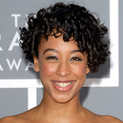 African American Short And Curly Hairstyles