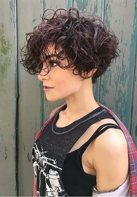 100 Stylish and Easy Short Hairstyle Ideas for Women to Try in 2022 Curly-pixie-wedge-haircut-2