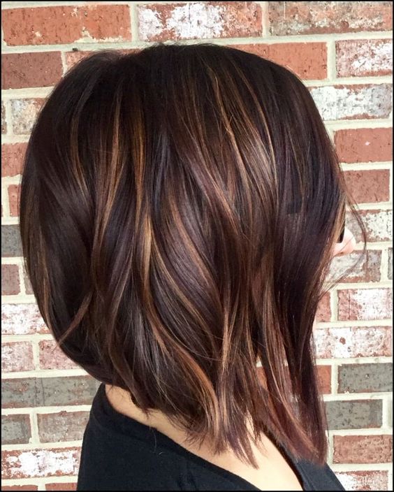 52 Elegant Short Hairstyles for Fine Hair (Update 2021) Caramel-highlights-on-brown-wedge-bob