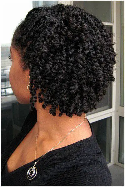 Short Black Haircuts that Best to Try! two_strand_twist_2