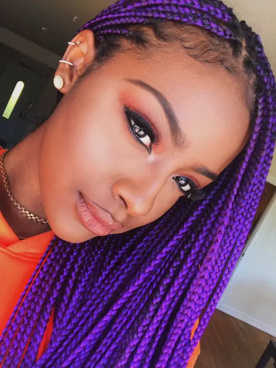 Punky Purple Most Inspiring Braids Hairstyle for Women 1