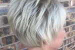 Feathered Gray Haircut With Highlight & Lowlight